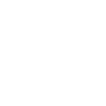 instagram_icon